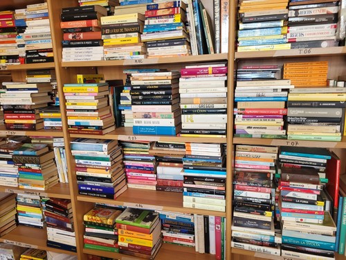 Lotto libri asssortiti - 50,